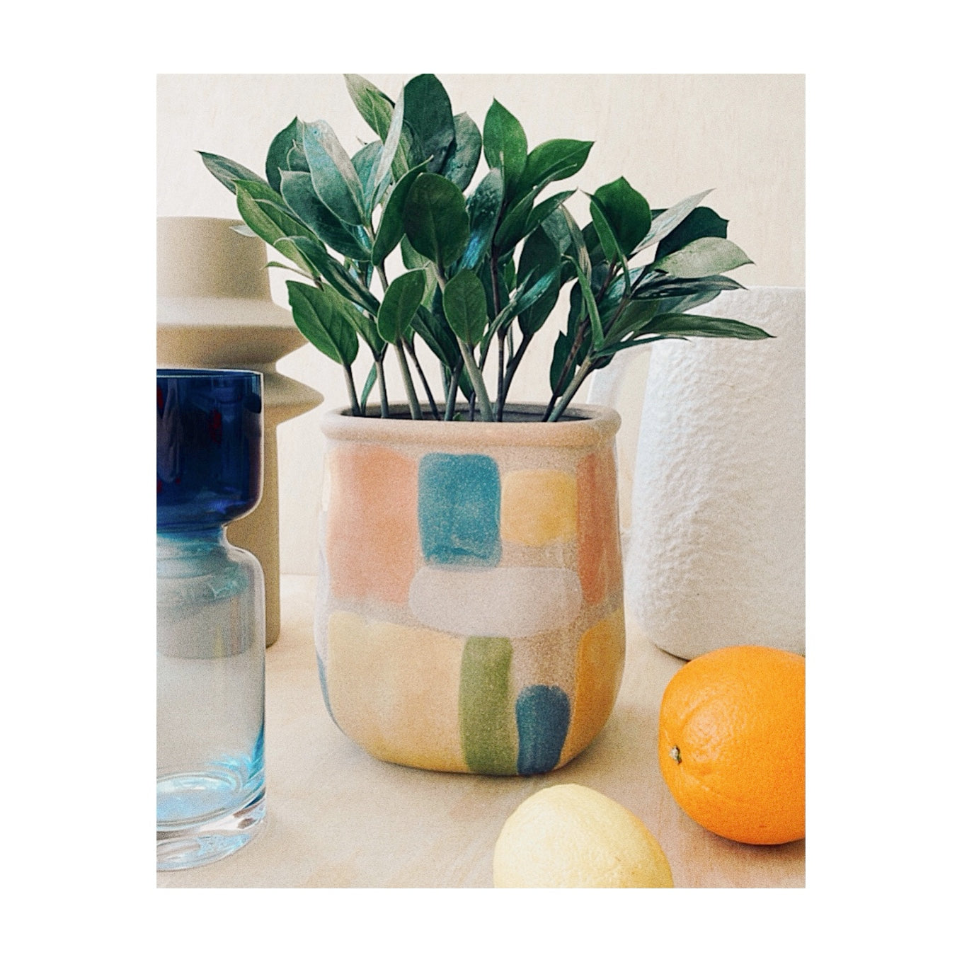 New Med Collection: Indoor Plants, pots and homewares 