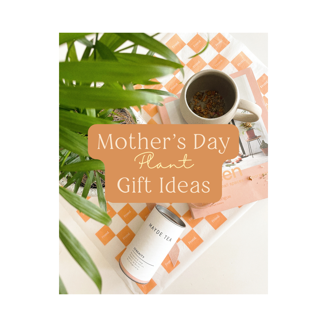 Mother's Day Plant Gift Ideas
