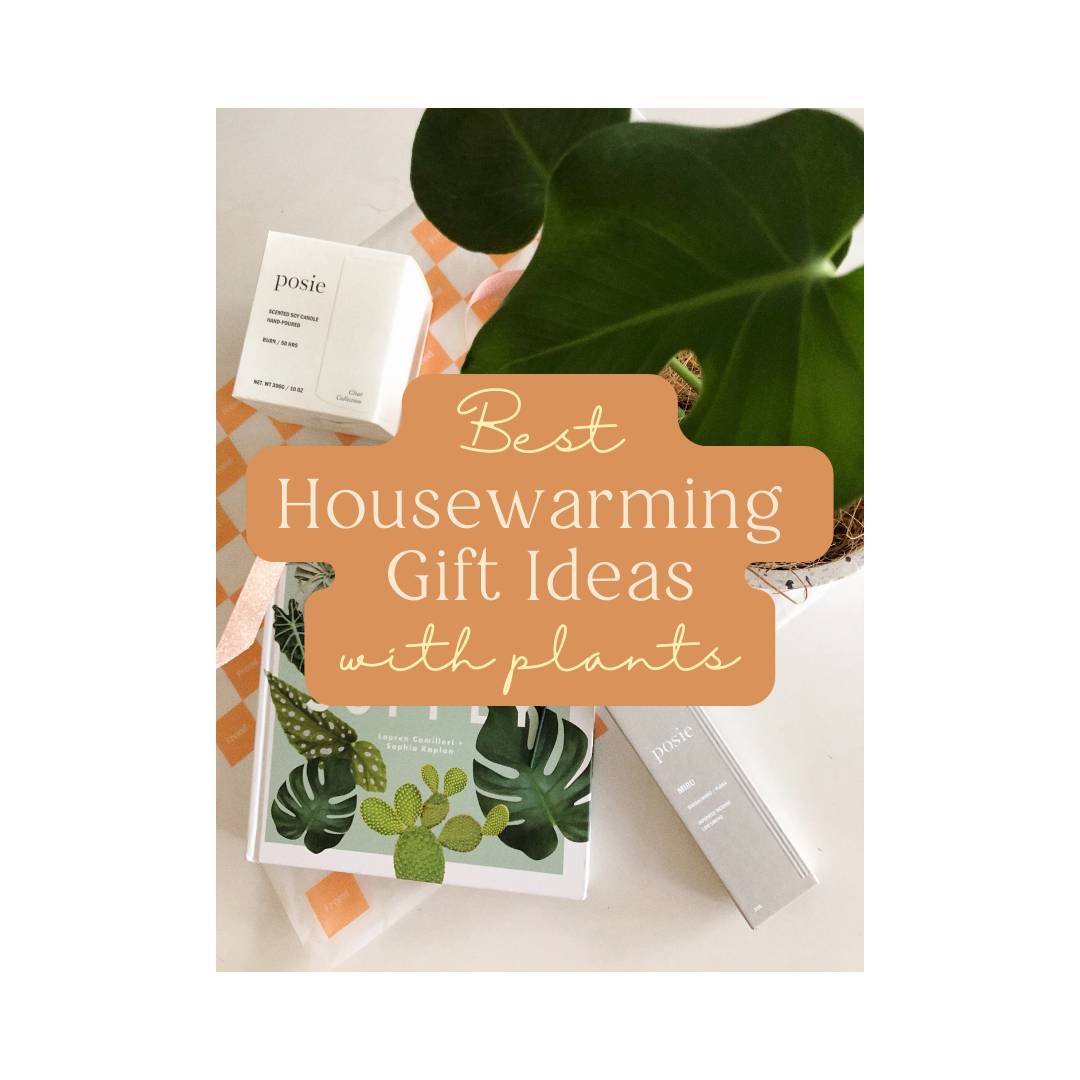 Best Housewarming Gift Ideas with Plants