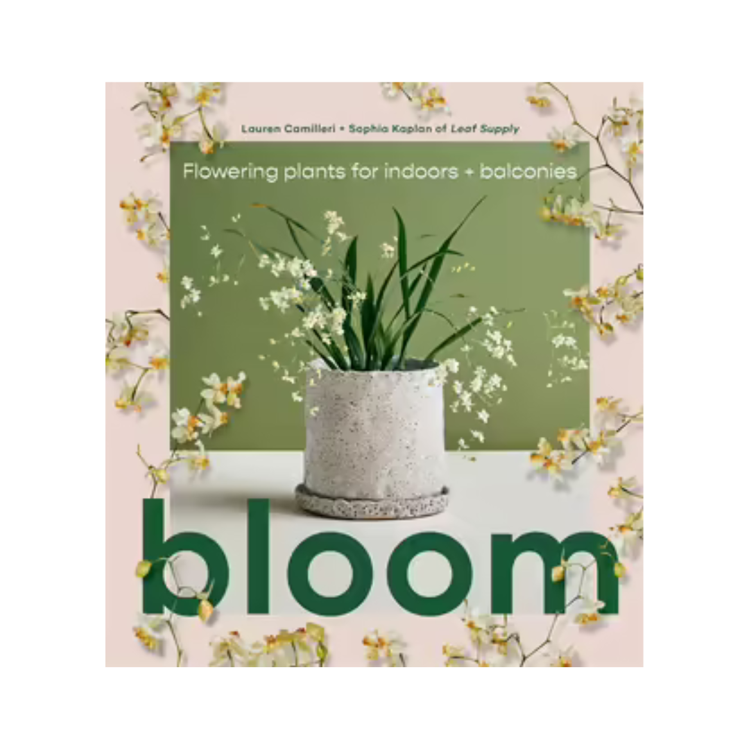  Bloom Coffee Table Book by Leaf Supply: flowering plants for indoors and balconies