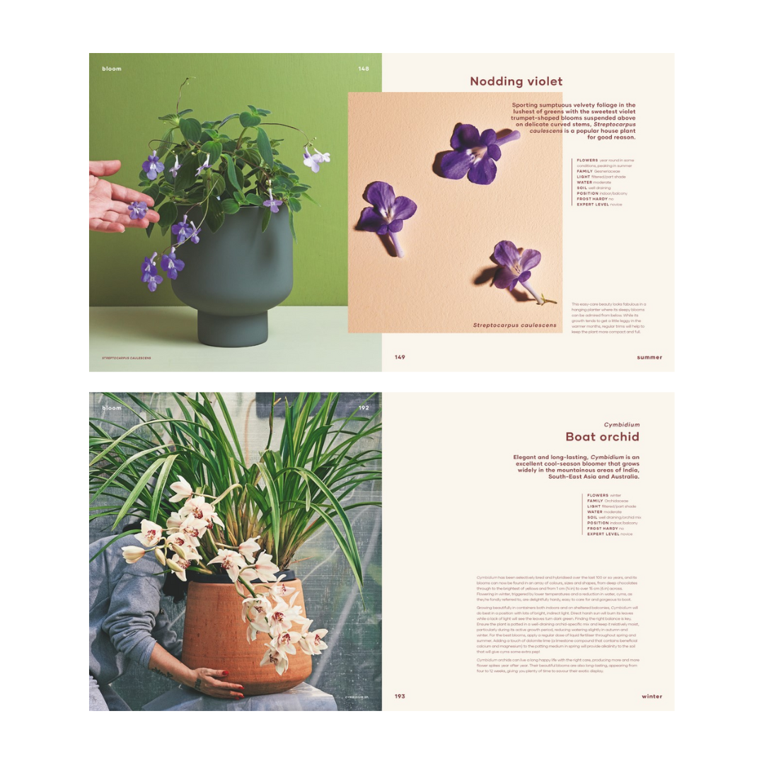  Bloom Coffee Table Book by Leaf Supply: flowering plants for indoors and balconies