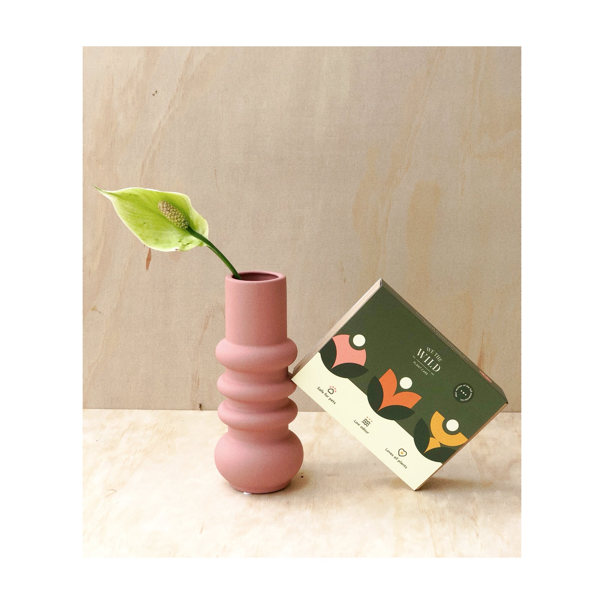 We The Wild Mini Plant Care Kit styled with the Gita Nude Vase