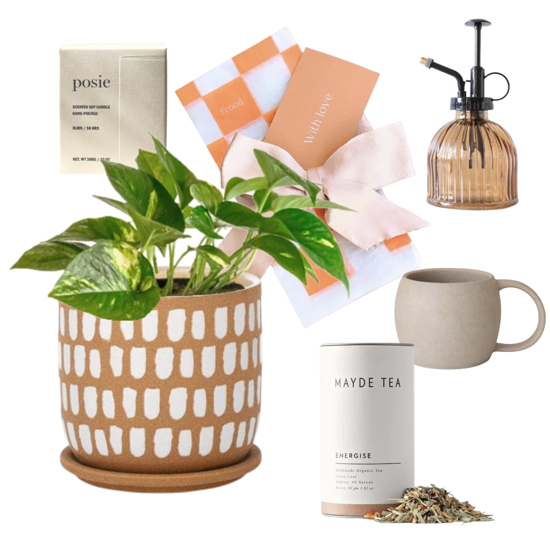Good Vibes Plant Gift Hamper | Devils Ivy + Luca Ceramic Pot + We are Posie DEI Clear Candle + Amber Plant Mister + Mayde Tea Energise + Mayde Tea Willow Mug + Gift Wrap