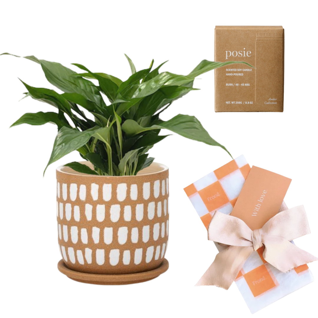 Personalized Plant For Gifts | Best Return Gift Ideas