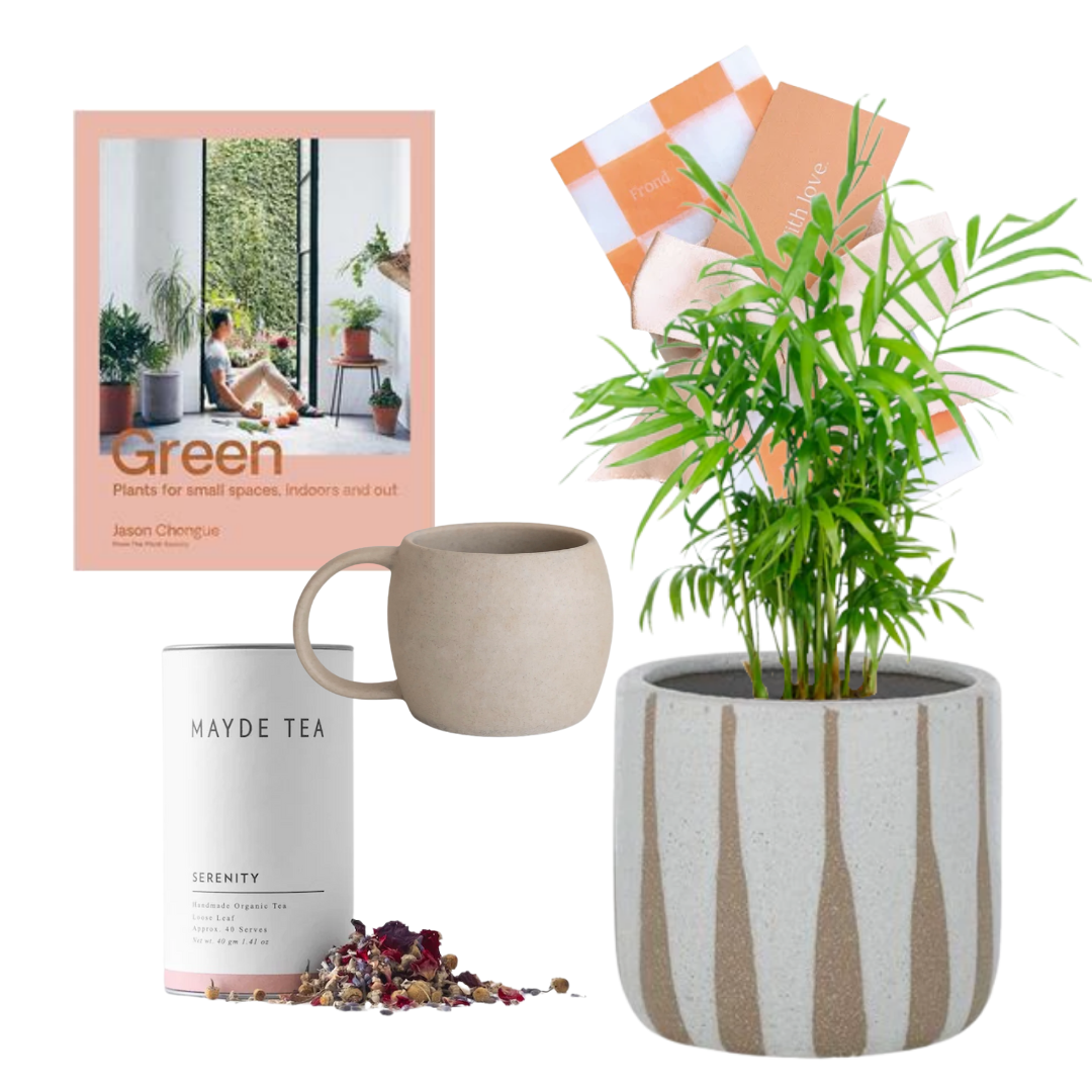 Tranquility Plant Gift Hamper | Parlour Palm + Turia Ceramic Pot + Mayde Tea Serenity 40 Serve Tube + Mayde Tea Willow Mug Beige + Green by Jason Chongue Book + Gift Wrap