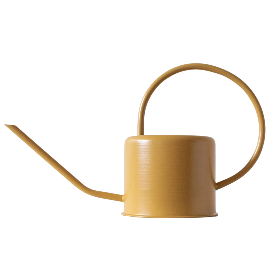 Stainless Steel Watering Can Mustard