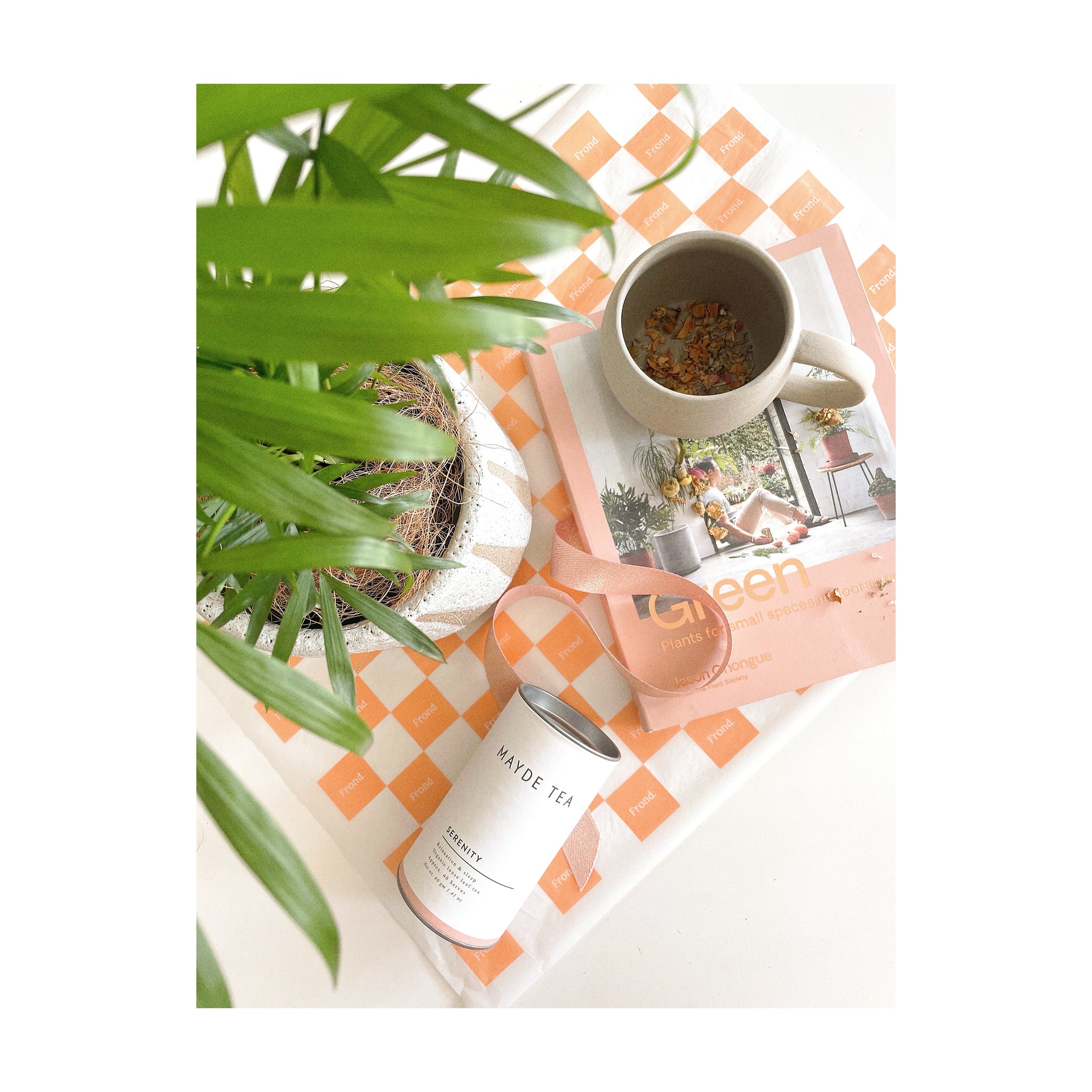 Tranquility Plant Gift Hamper | Parlour Palm + Turia Ceramic Pot + Mayde Tea Serenity 40 Serve Tube + Mayde Tea Willow Mug Beige + Green by Jason Chongue Book + Gift Wrap