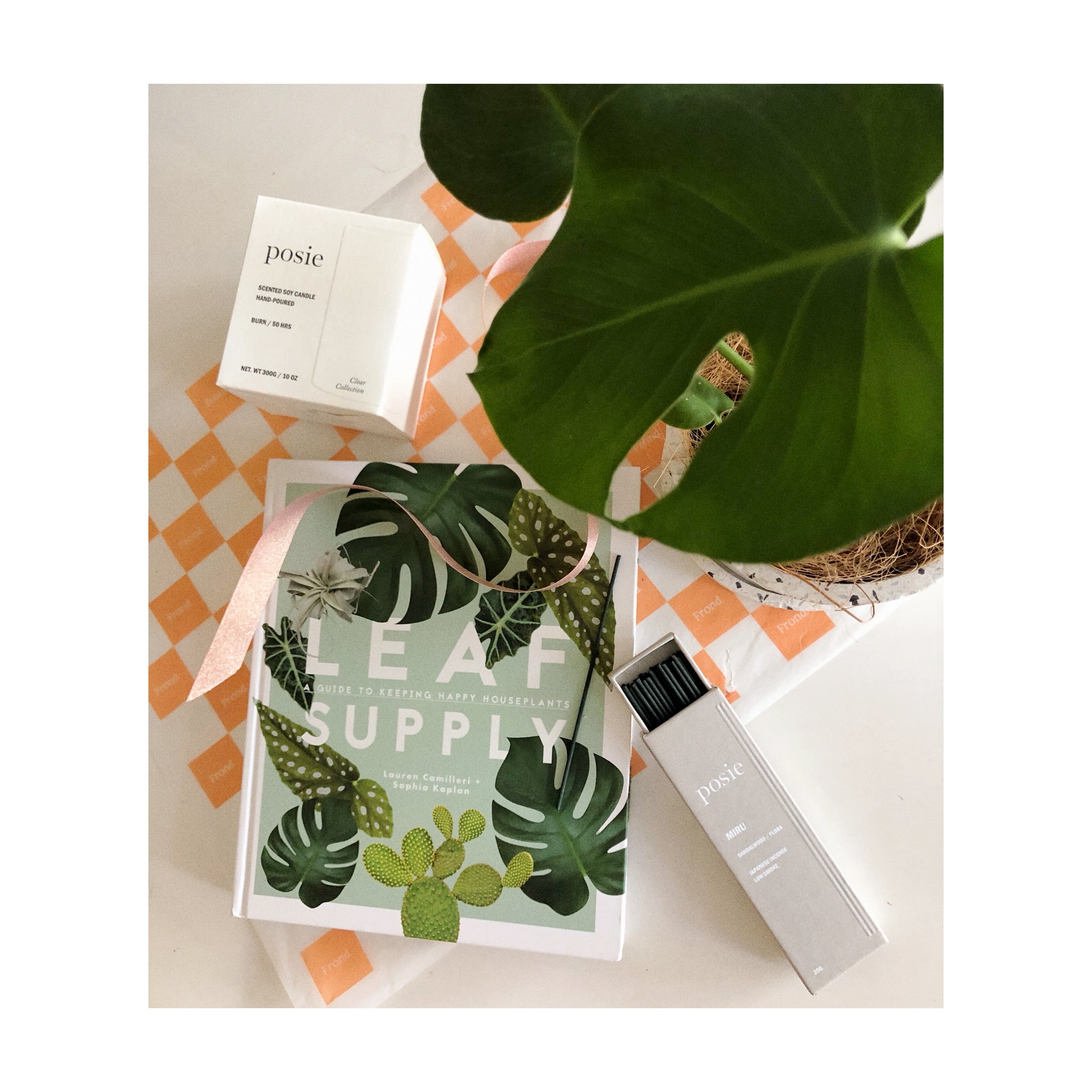 Luxe Leaf Plant Gift Hamper | Monstera Deliciosa + Sia Terrazzo Pot White + Leaf Supply Book + We Are Posie Clear Candle DEI + We Are Posie Incense Sandalwood / Flora + Gift Wrap