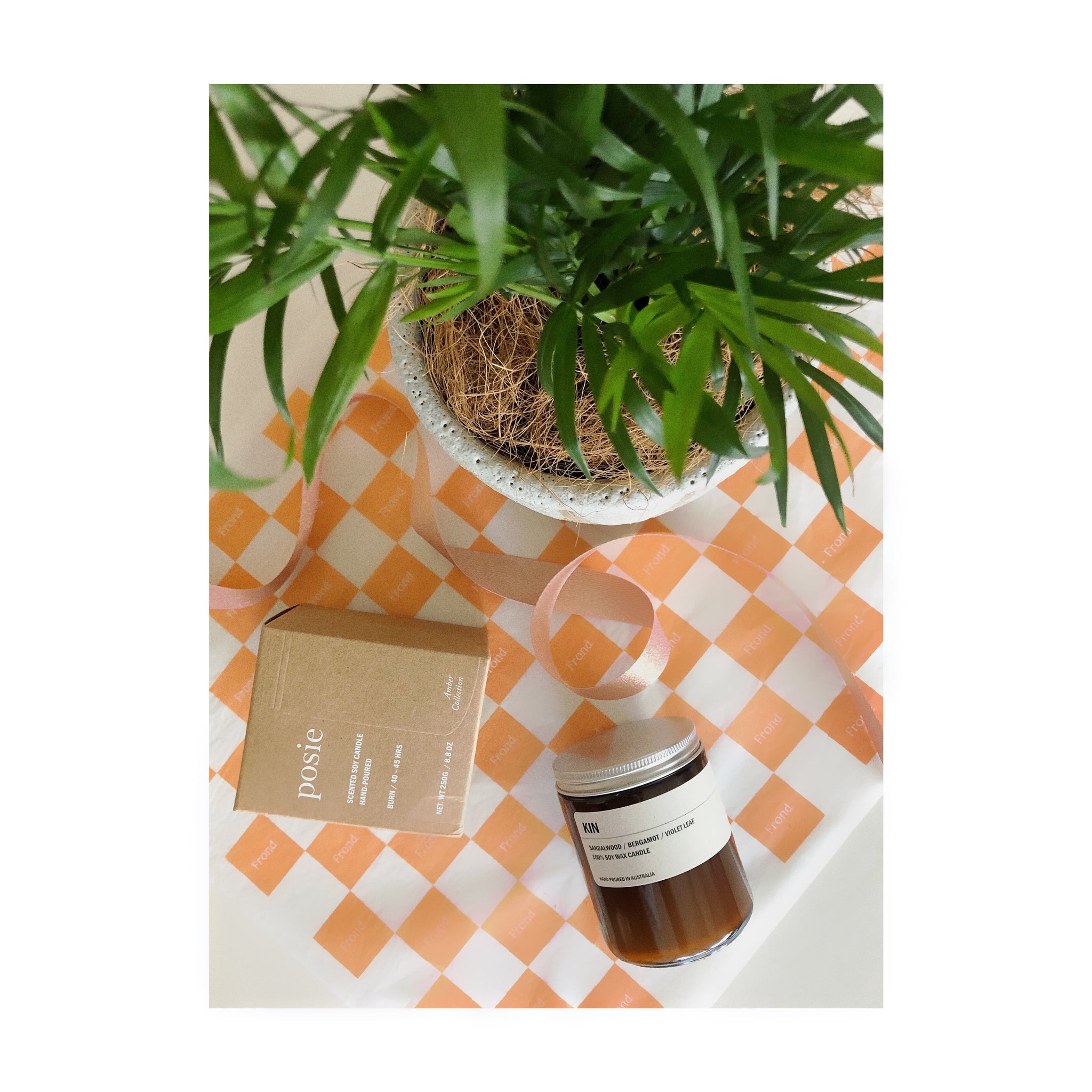Best Fronds Plant Gift Hamper | Parlour Palm + Turia Ceramic Pot + We Are Posie KIN Amber Candle + Gift Wrap