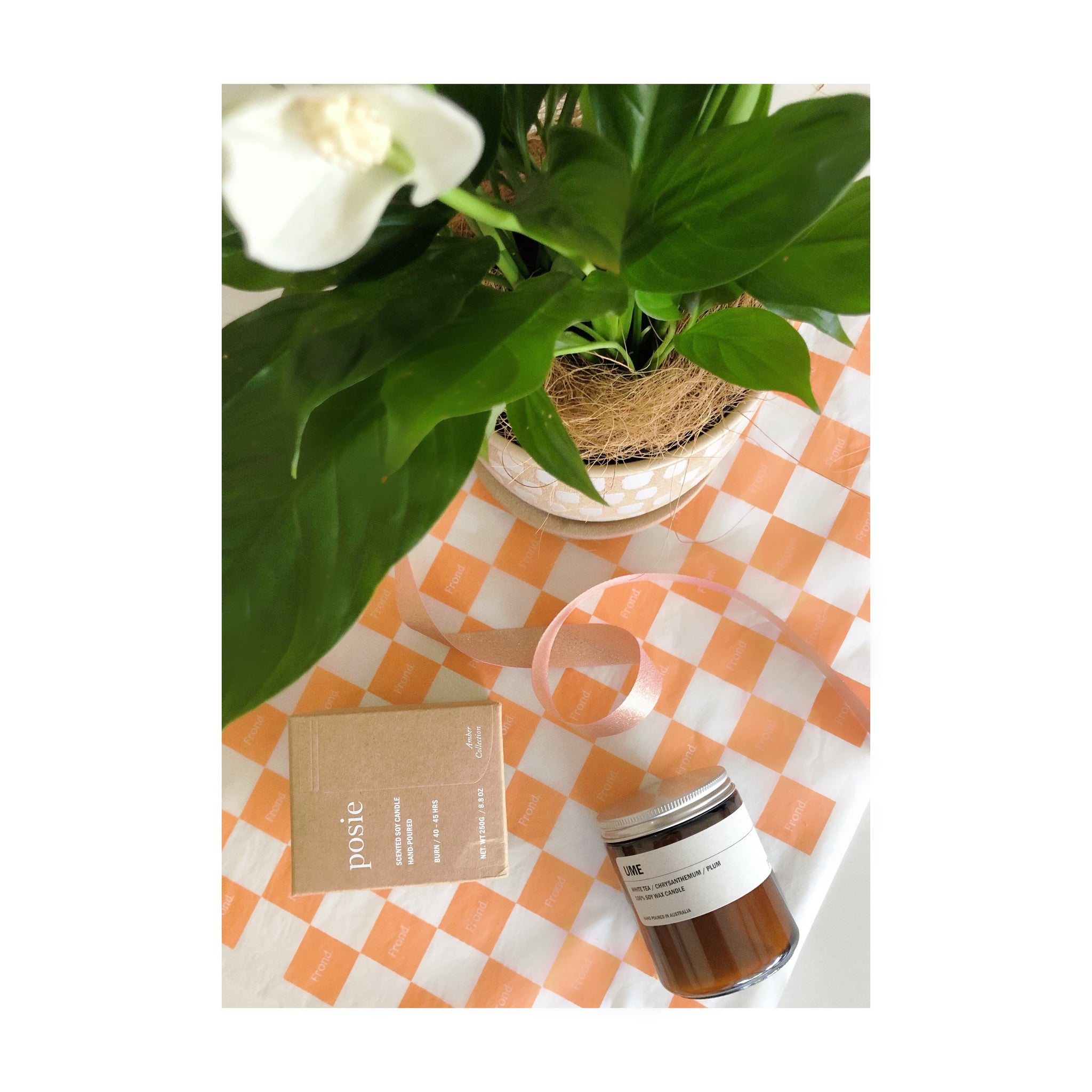 Peace & Love Plant Gift Hamper | Peace Lily + Luca Ceramic Pot & Saucer + We Are Posie Amber Soy Candle UME + Gift Wrap